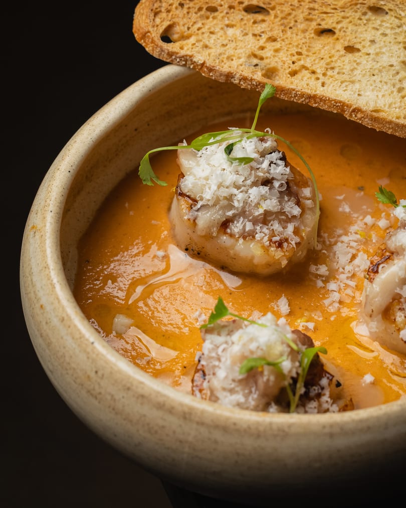 Close-up of seared scallops in orange sauce, garnished with grated cheese and microgreens, with toasted bread.